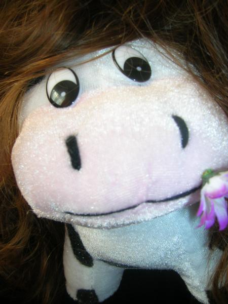  Mouche 